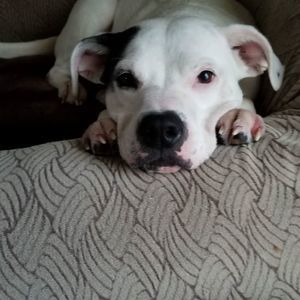 Meet your Posher, Cheryl